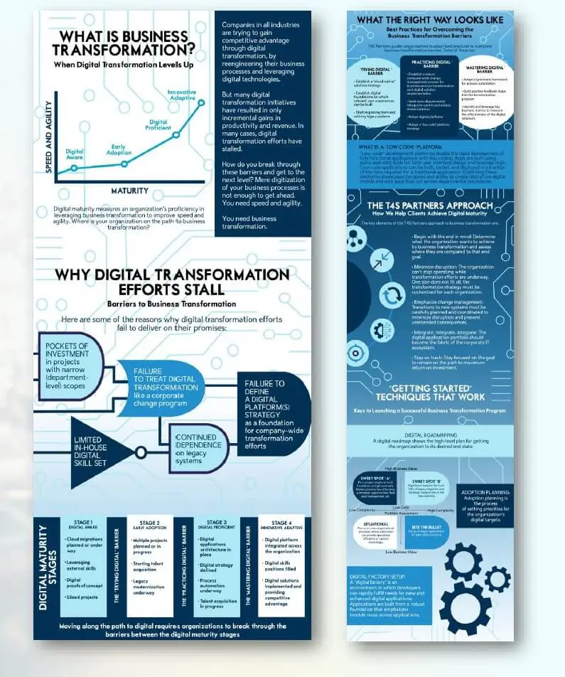 Words by a Pro example of infographic creation for business transformation process.